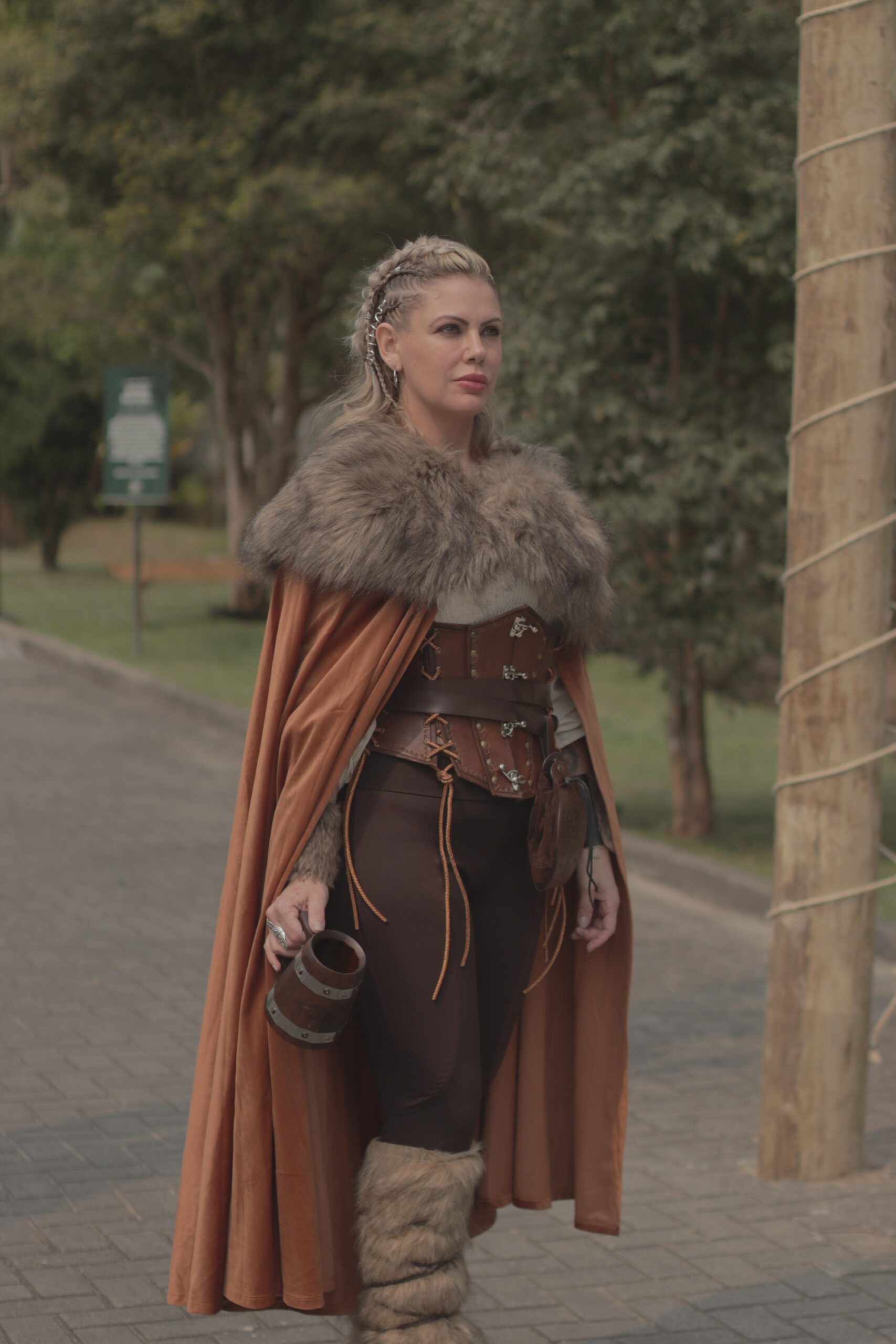 Festival Viking