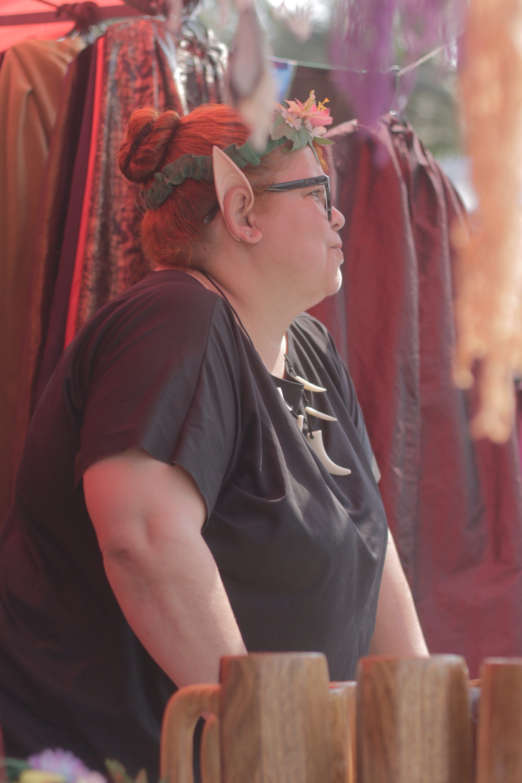 Festival Viking